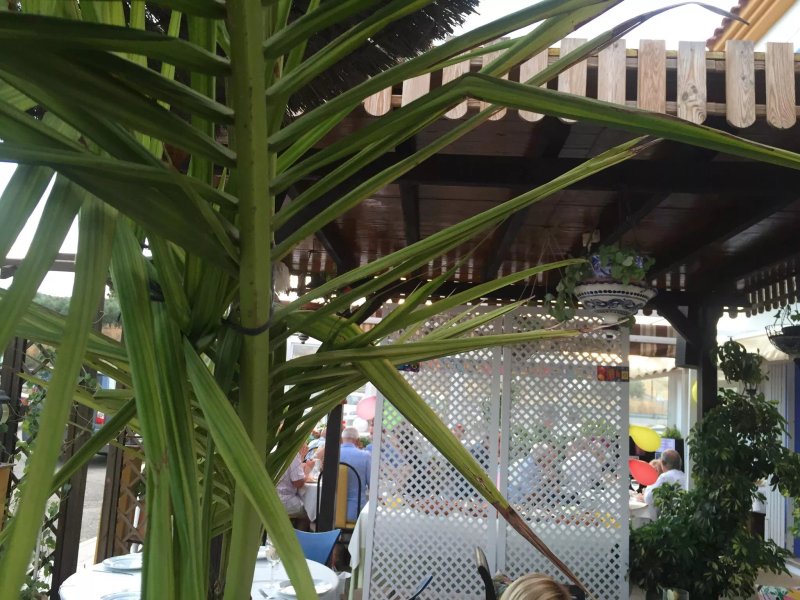 Restaurante Arco Del Sol