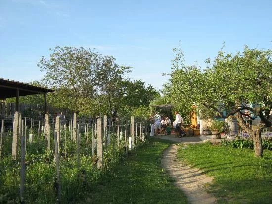 Weinbau Zawodsky
