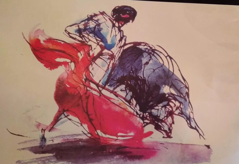 Picador