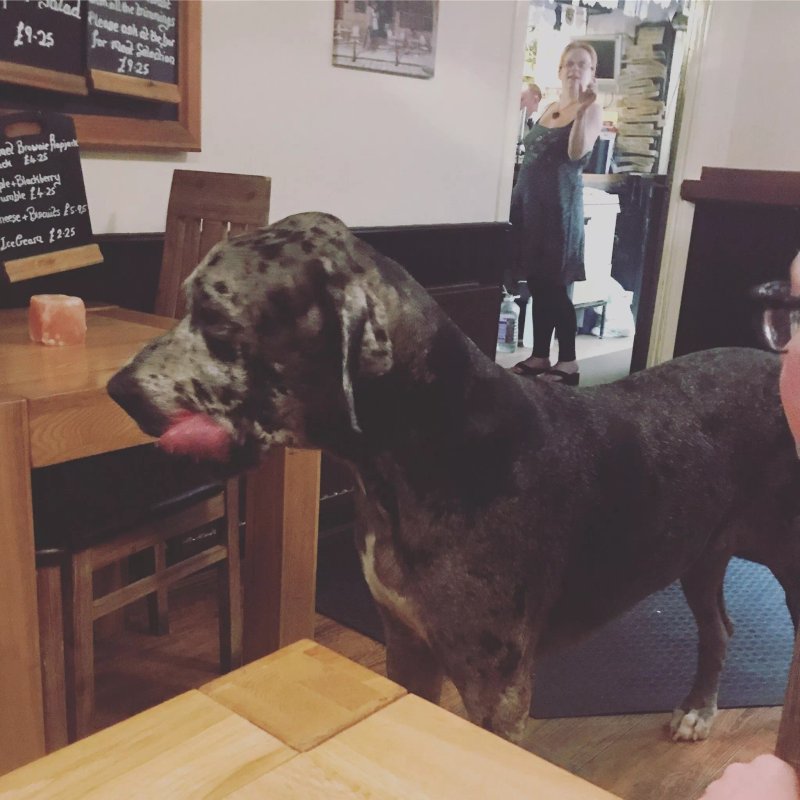 The Bakers Arms