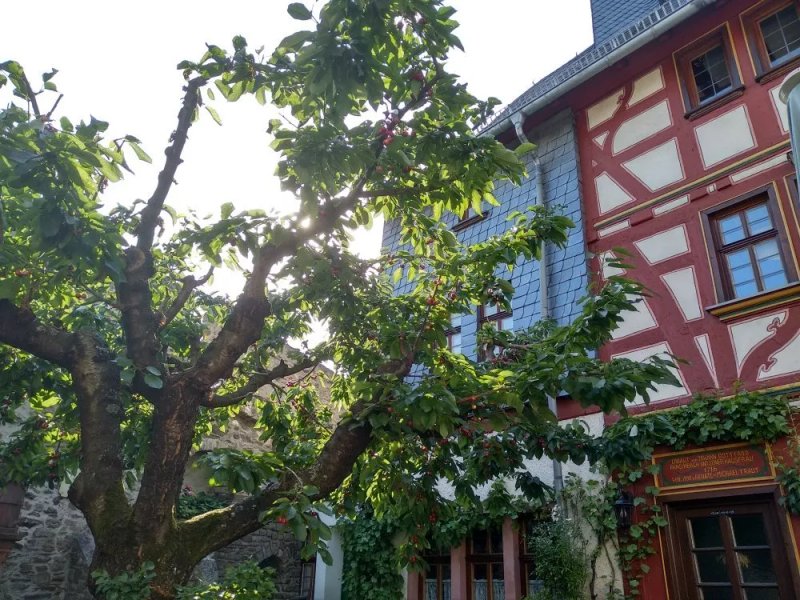 WeinCafe am Kirchplatz