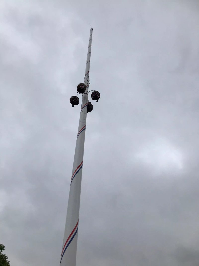 The Barwick Maypole