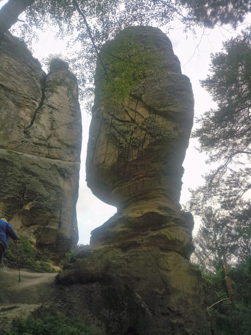 Hasicarna Klokoci