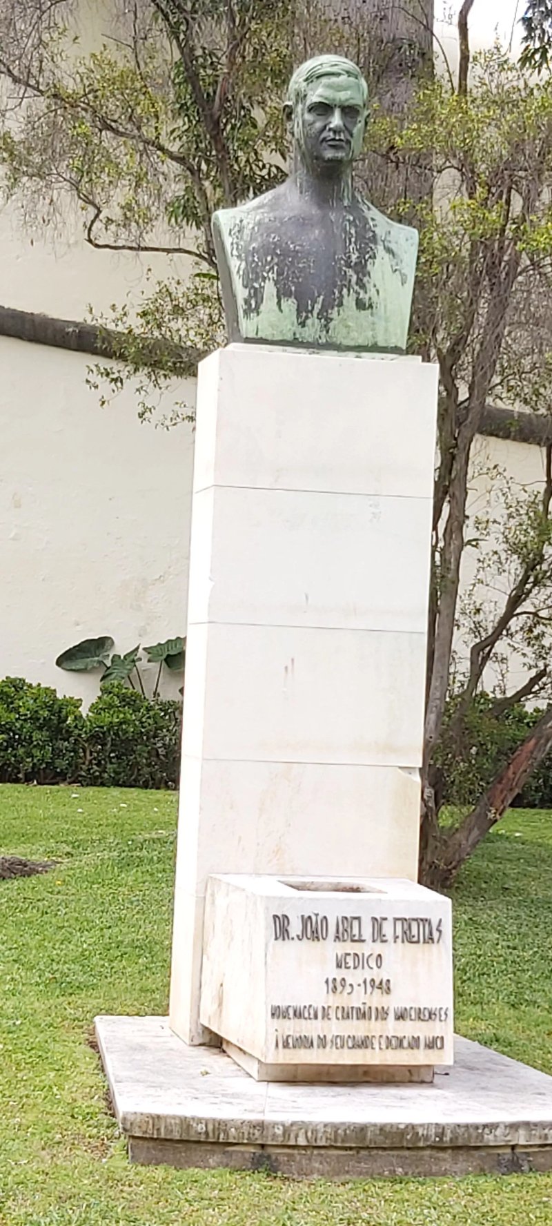 Estatua De Joao Abel De Freitas