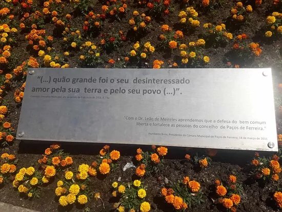 Estatua Doutor Leao De Meireles