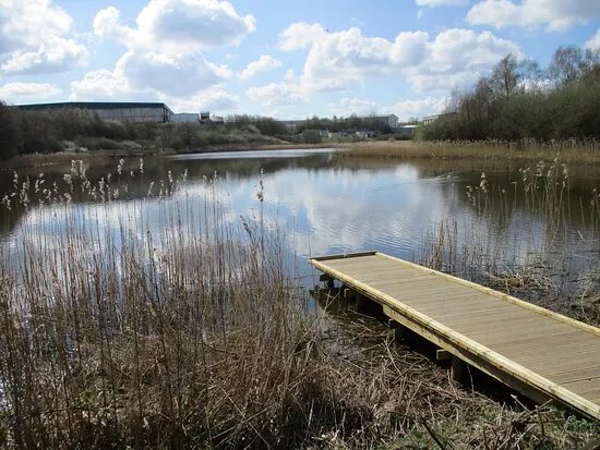 Willamthorpe Nature Reserve