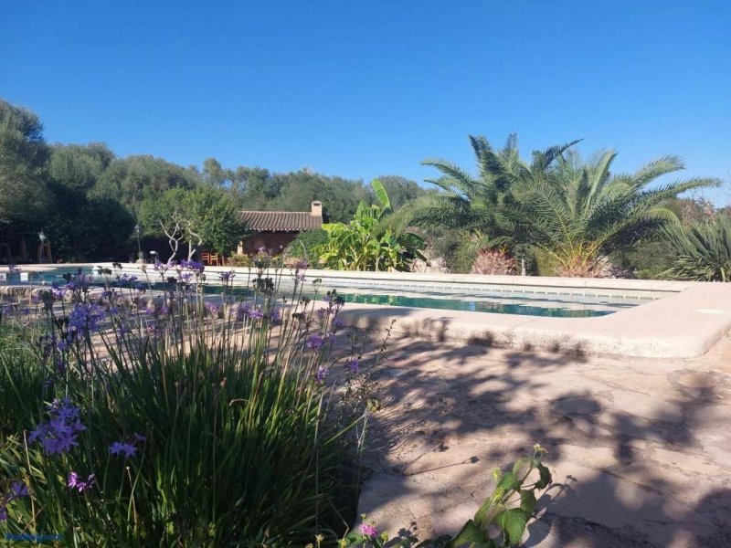 Finca SA Cova Vella
