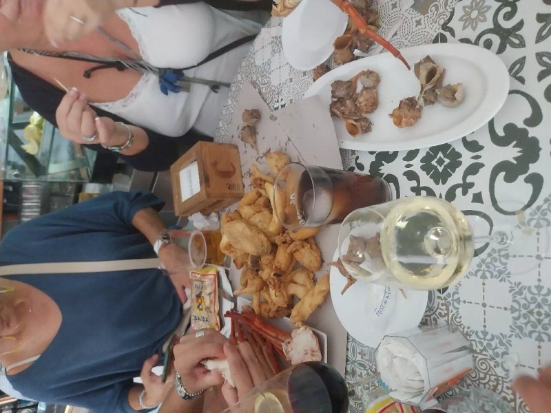 El Nuevo Jerezano Freidor Jerez