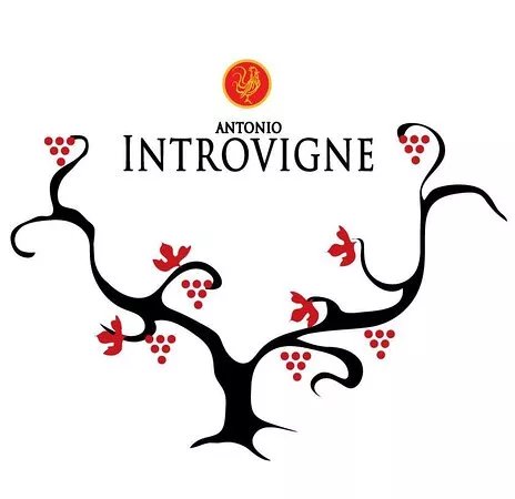 Azienda Agricola Antonio Introvigne