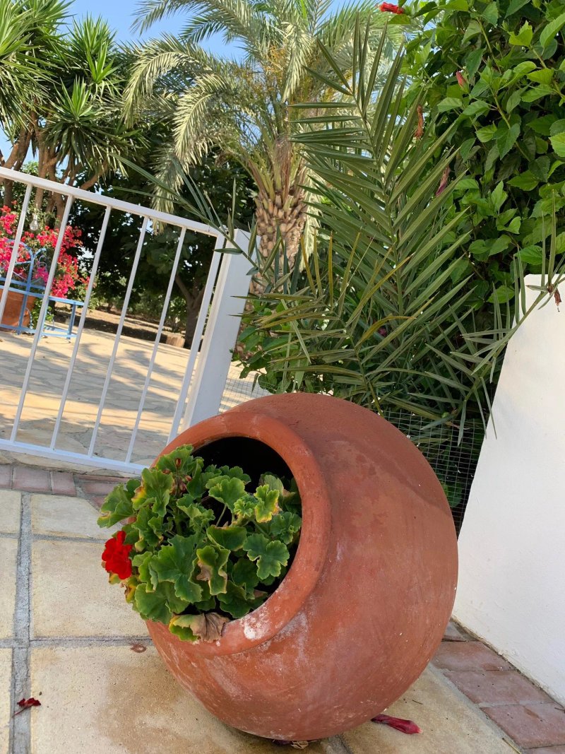 Villa Elia Bed and Breakfast