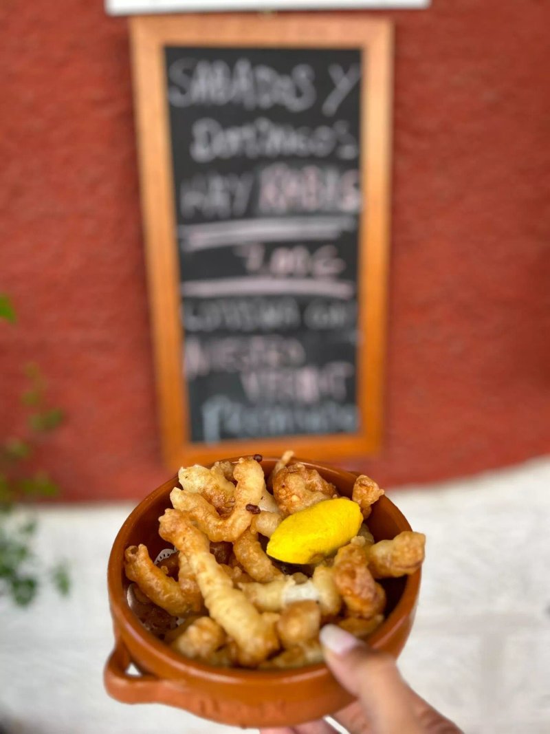 Pizzeria Txitxetti - Iratxo Berri