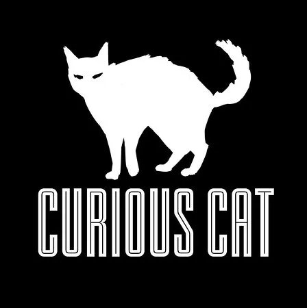 Curious Cat Escape Room