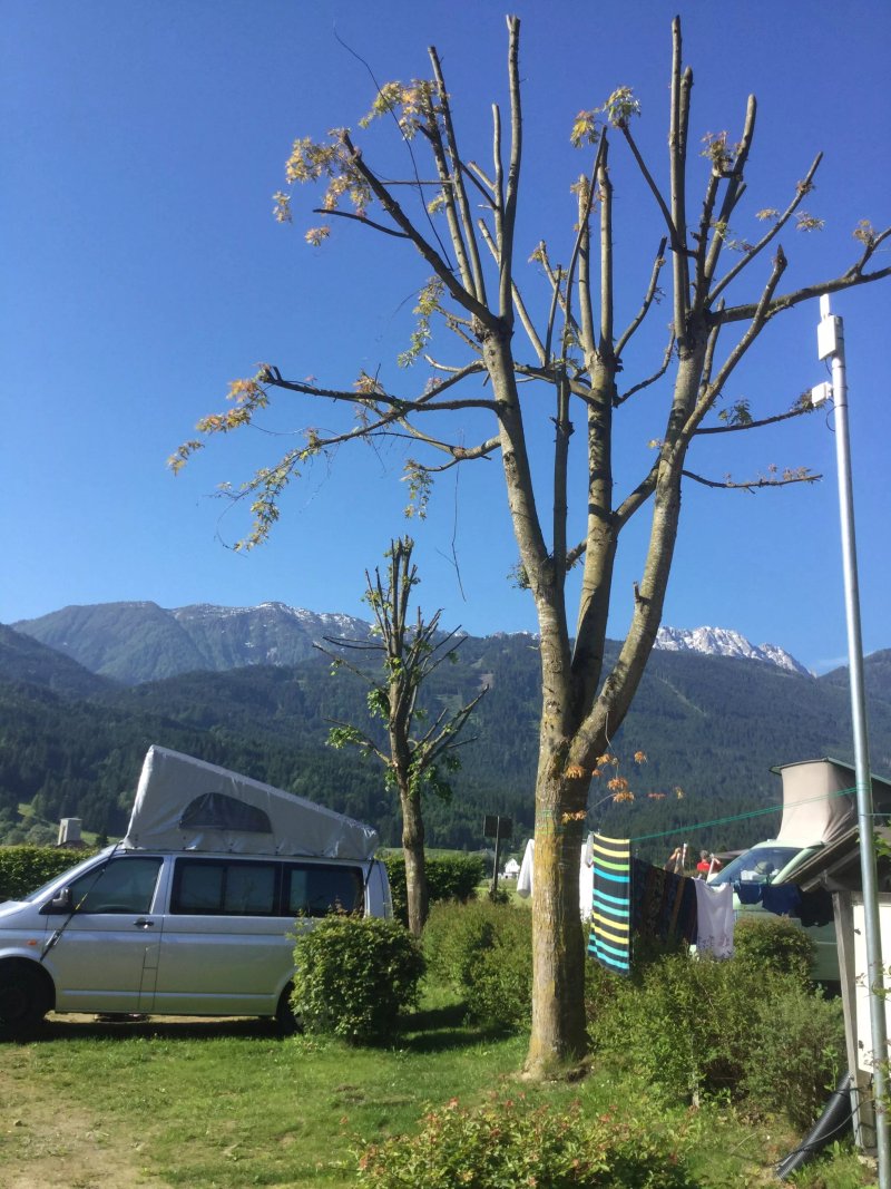 Fliegercamp Franz Mandl
