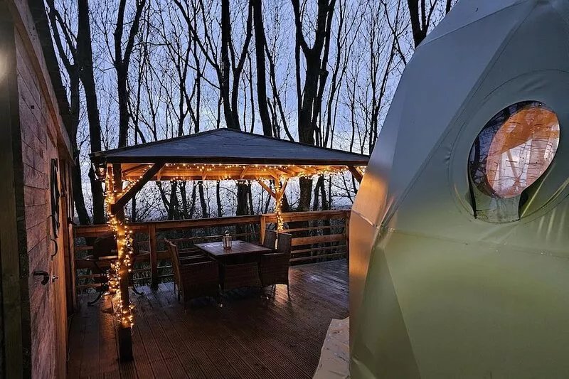 The Tree Dome - Luxurious Glamping Retreat