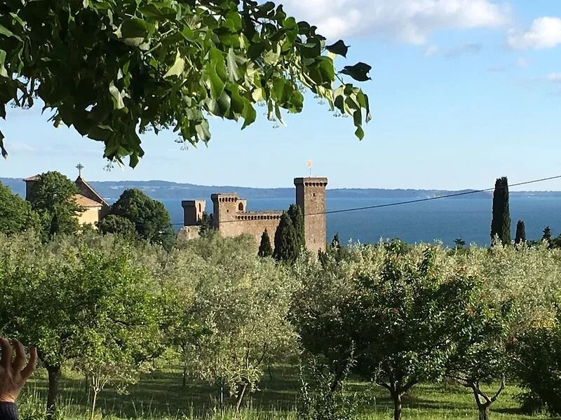 A lovely place overlooking Lake Bolsena with a private swimming pool !