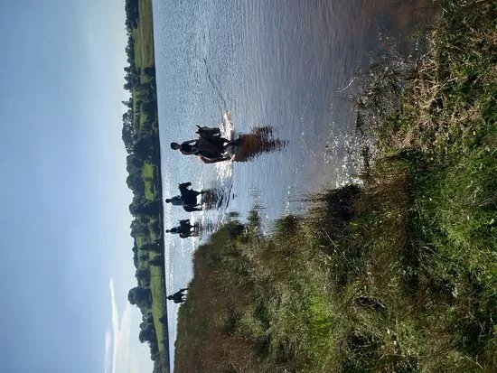 Bishopland Polo