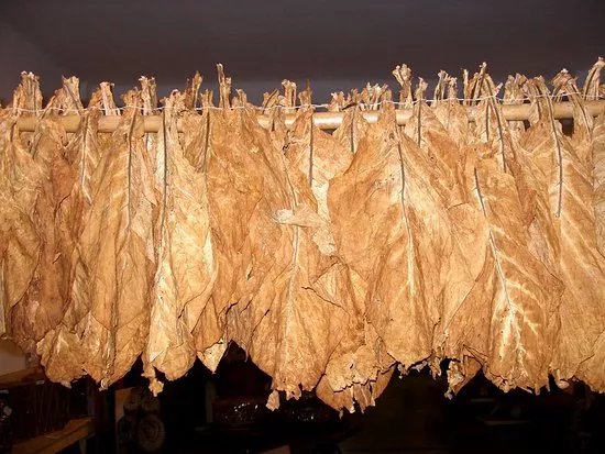 Tobacco Museum