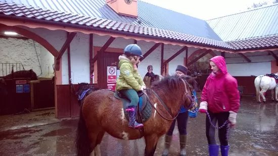 Wellsfield Equestrian-Horseback Riding