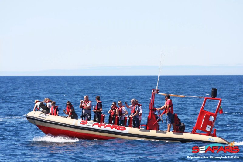 Dolphin Seafaris Actividades Maritimas Lda