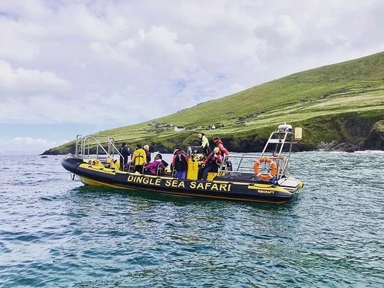 Dingle Sea Safari