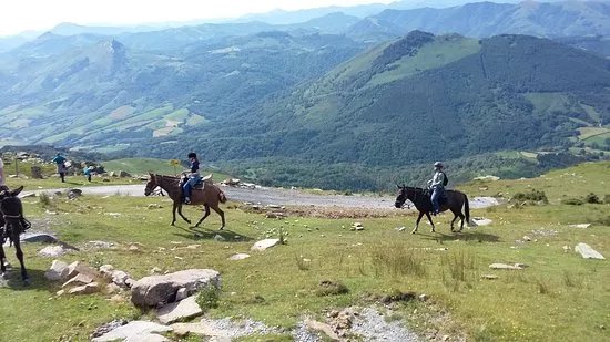 Centre de Tourisme Equestre Larrun Alde