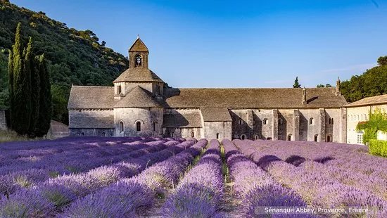 My French Voyage