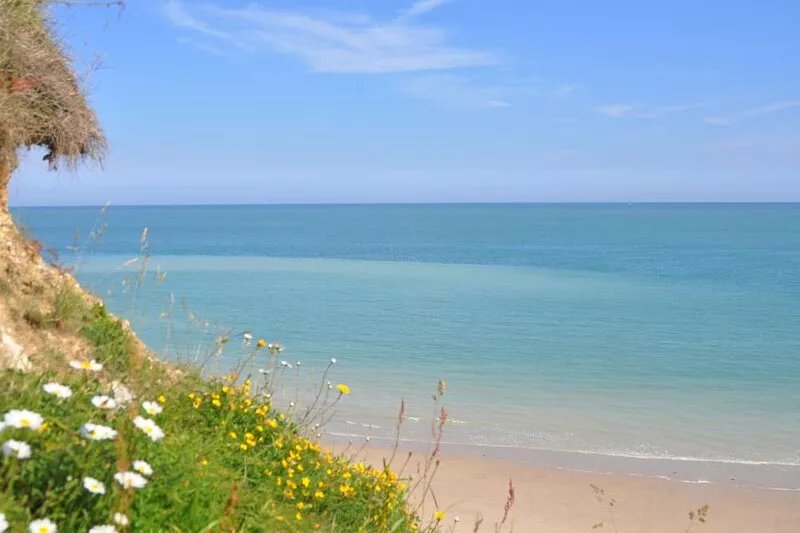 Offranville, large bright Charretterie ***, 200 m², 12-14 p., 7 min beach