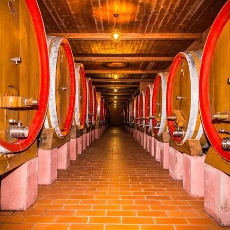 Cantina Di Biase S.agr.s.