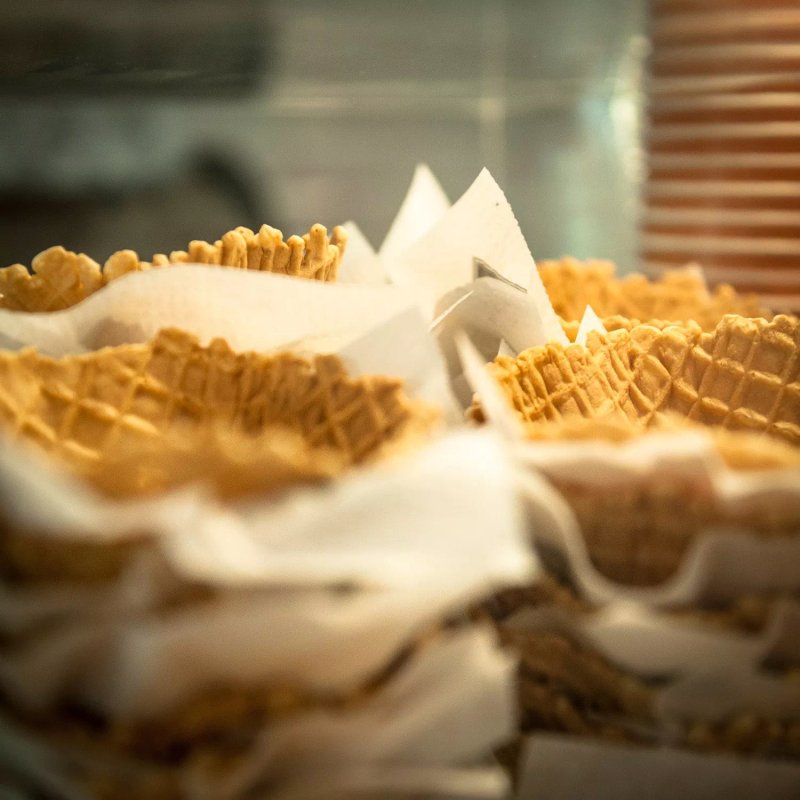 Myiced Baixa Pombalina