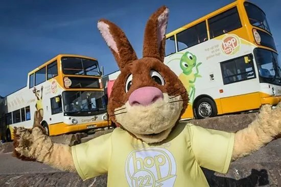 Golden Hop 122 Open Top Buses