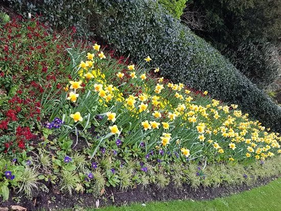 Regent's Park