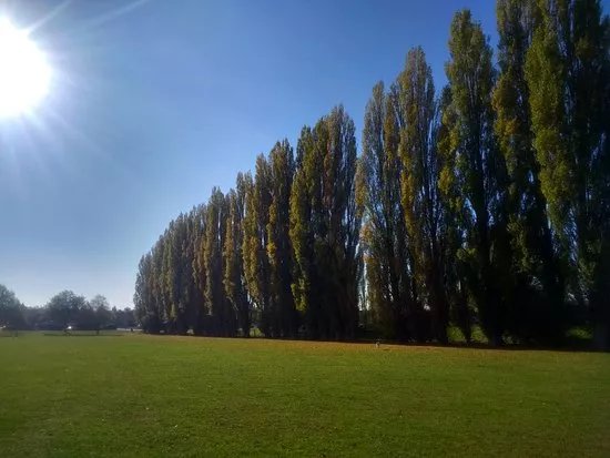 Knighton Park