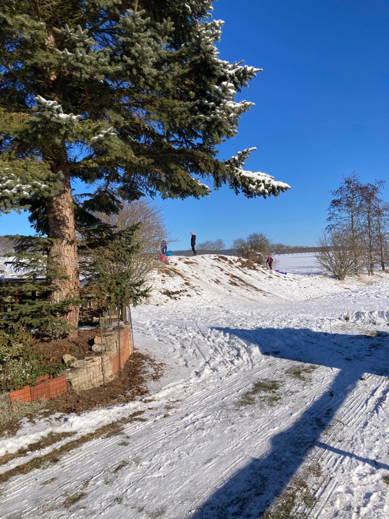 Gasthaus Waldschmaus