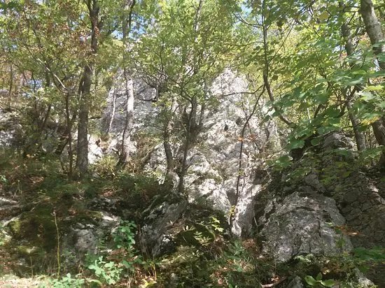 Old town Okic