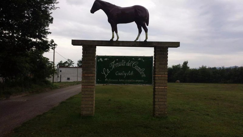 La Tenuta Del Cavaliere Agriturismo