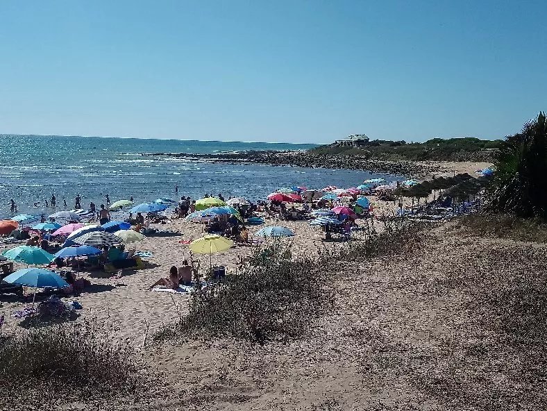 La Palapa