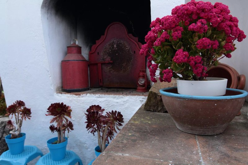 Horta do Padre