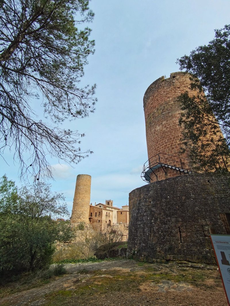 Torres De Fals