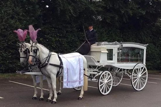 Elegant Carriages