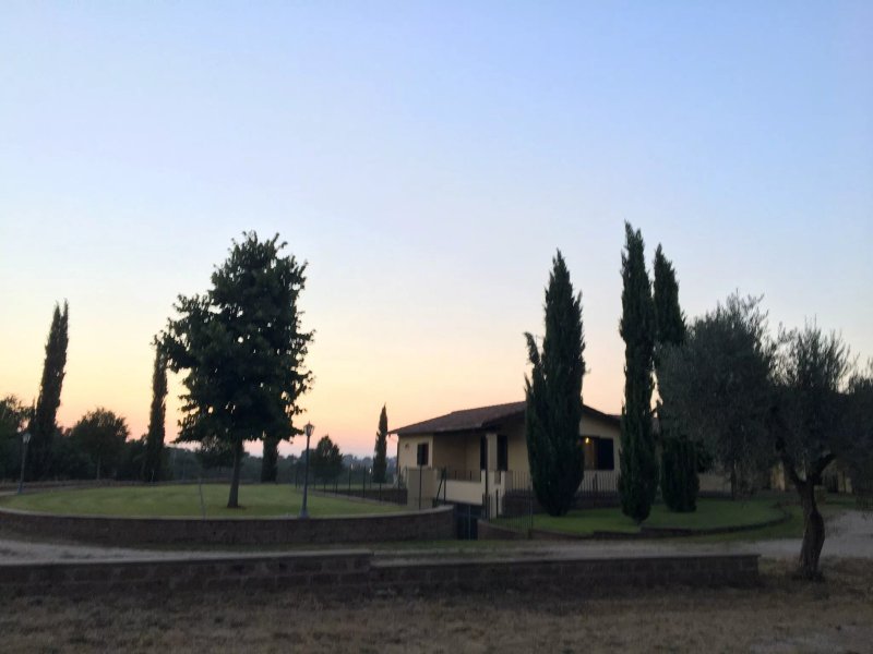 Oasi Del Verde