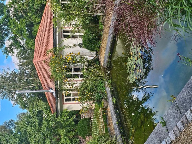 B&B Rosenliebe