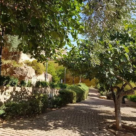 Parque Olivar de la Juderia