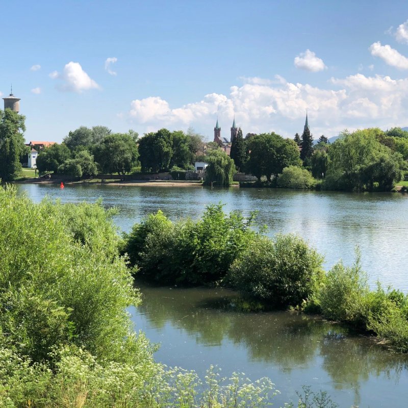 Neckarperle