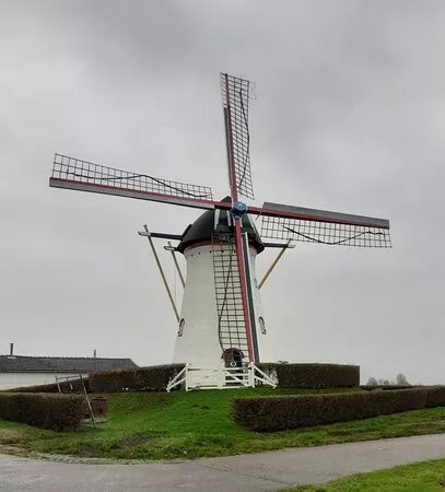 Aeolus