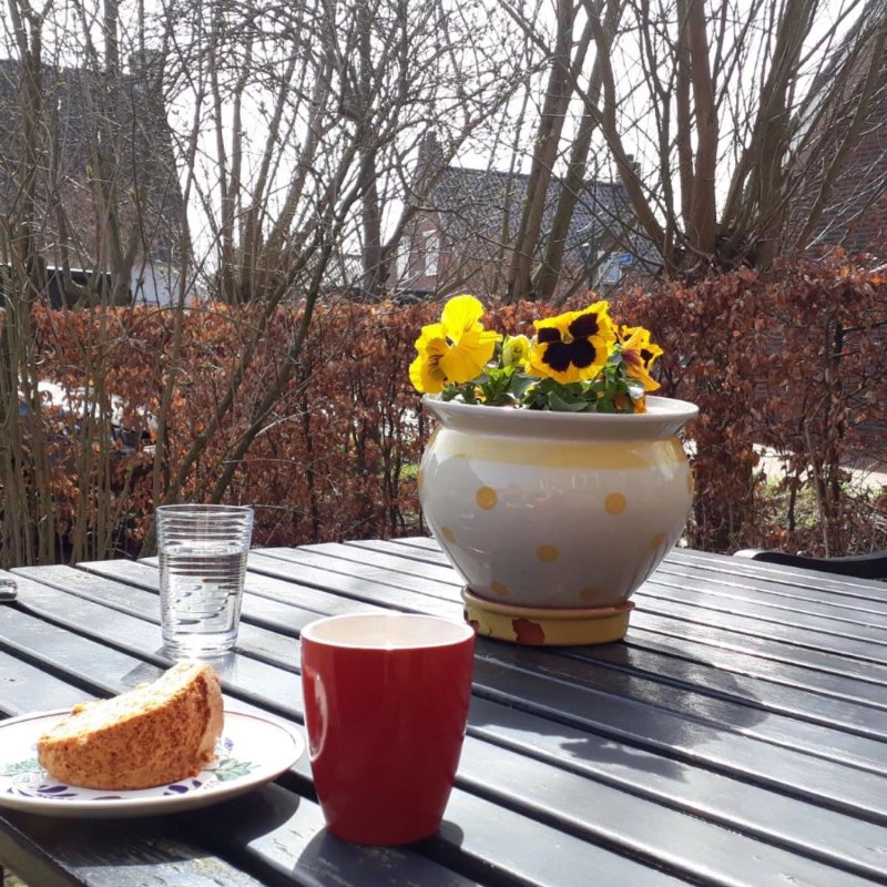 Boerderij en Bakhuis