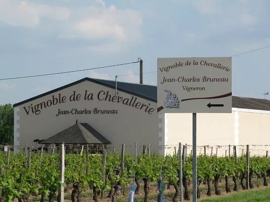 BRUNEAU Jean-Charles . Vignoble de la Chevallerie