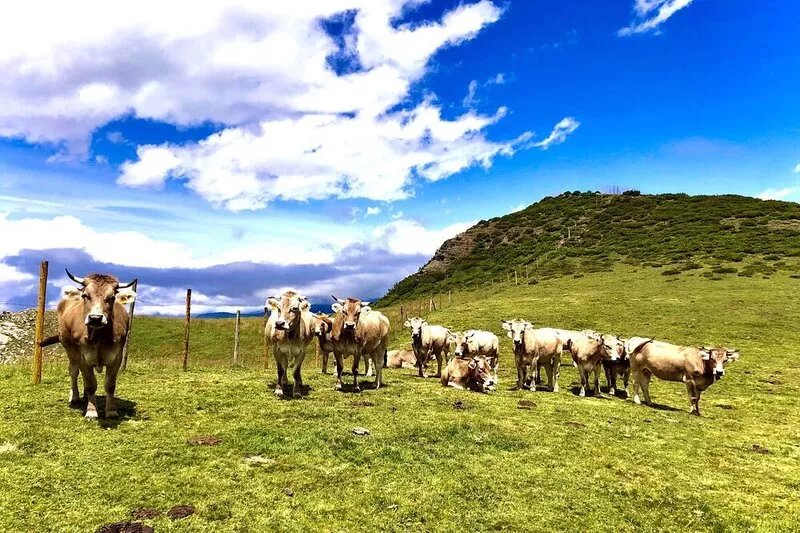 Casita Restaurada Conservando su Esencia Para Disfrutar en la Montaña Palentina