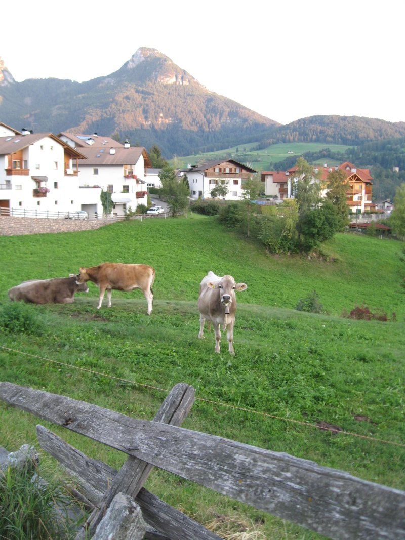 Garni Mitterstieler