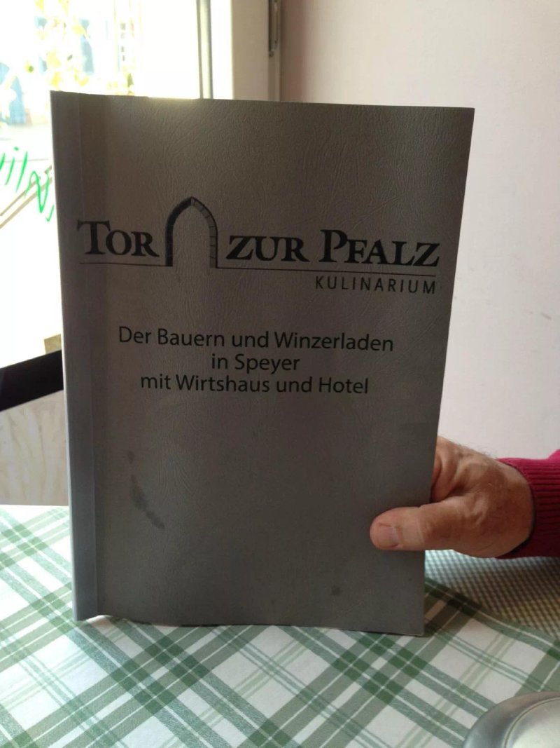 Hotel Tor zur Pfalz