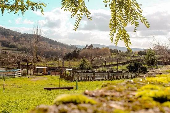 Quinta Pedagogica Quinta das Manas